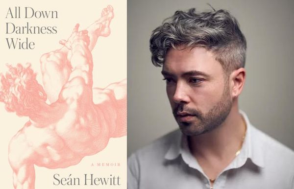 Review: To Hell and Back: Sean Hewitt's 'All Down Darkness Wide' Makes Literature of the Memoir