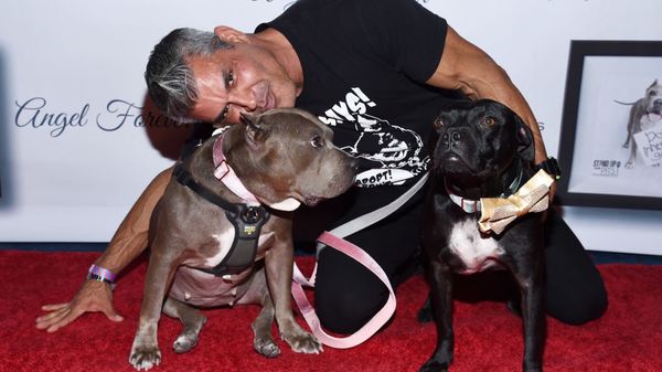 EDGE Interview: Mike Ruiz's New Calendar is Going to the Dogs and he Wouldn't have it Any Other Way