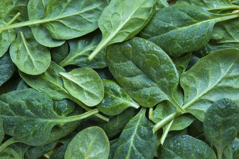 Spinach