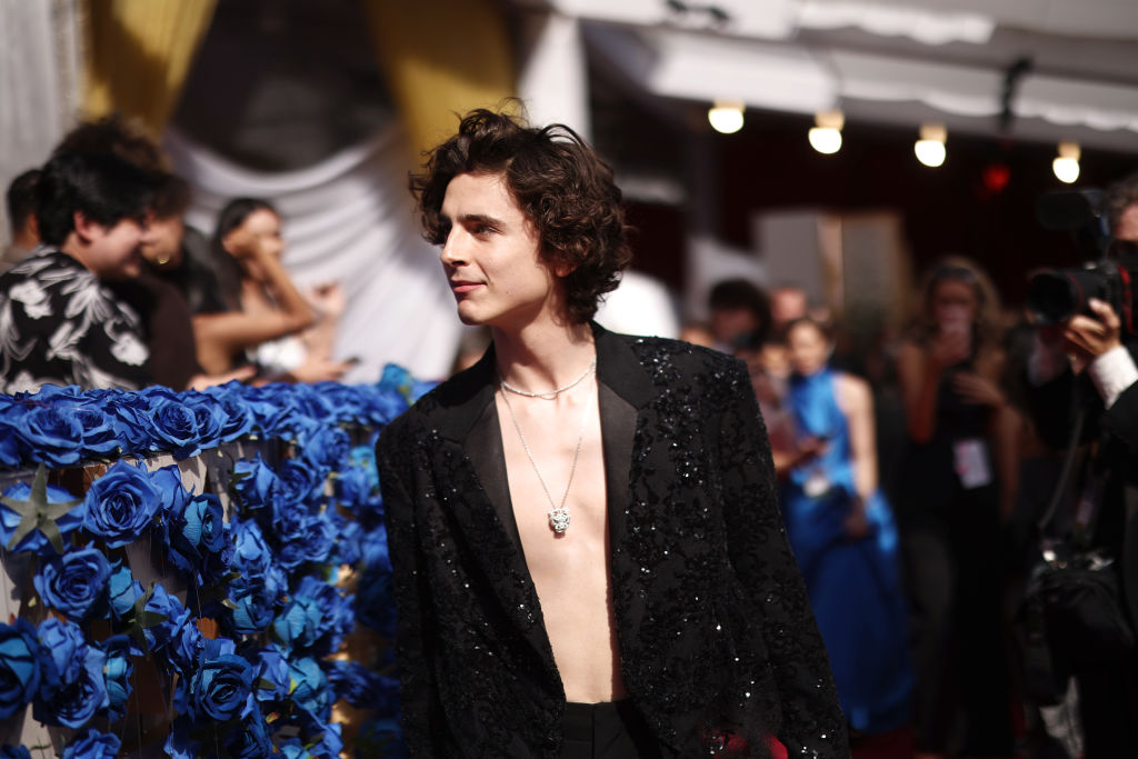 Timothée Chalamet Was Shirtless on the Oscars 2022 Red Carpet — See Photos