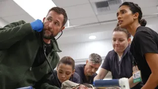 ‘The Pitt’ Is Back for Another Harrowing 15-Hour Shift. Is It Even Possible to up the Ante?